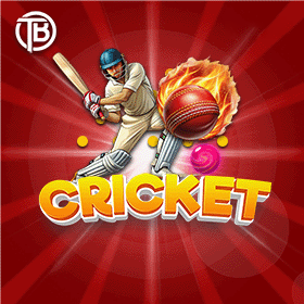 Mulu Wins Cricket sports game